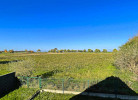 Feld hinter dem Haus