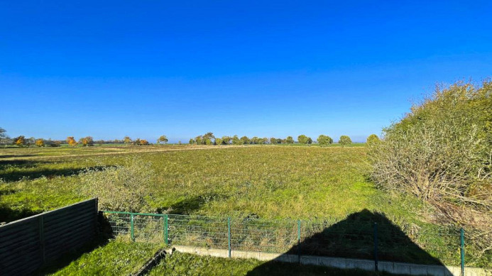 Feld hinter dem Haus