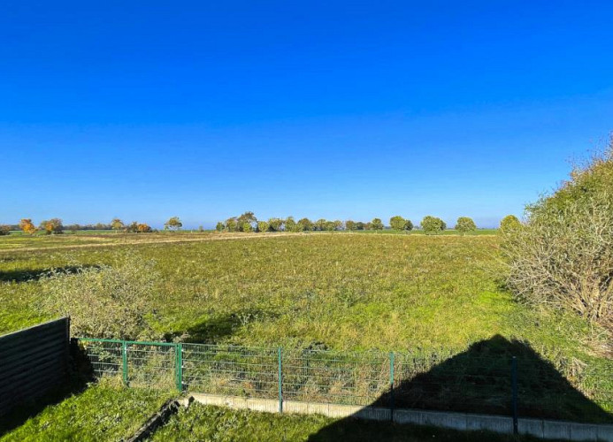 Feld hinter dem Haus